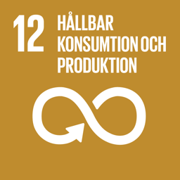 Globalt mål 12