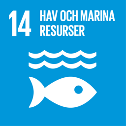 Globalt mål 14