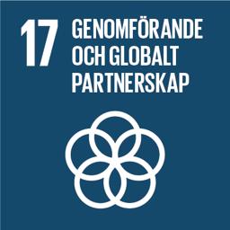 Globalt mål 17